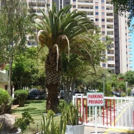 Golden Dreams & Perfect For *****